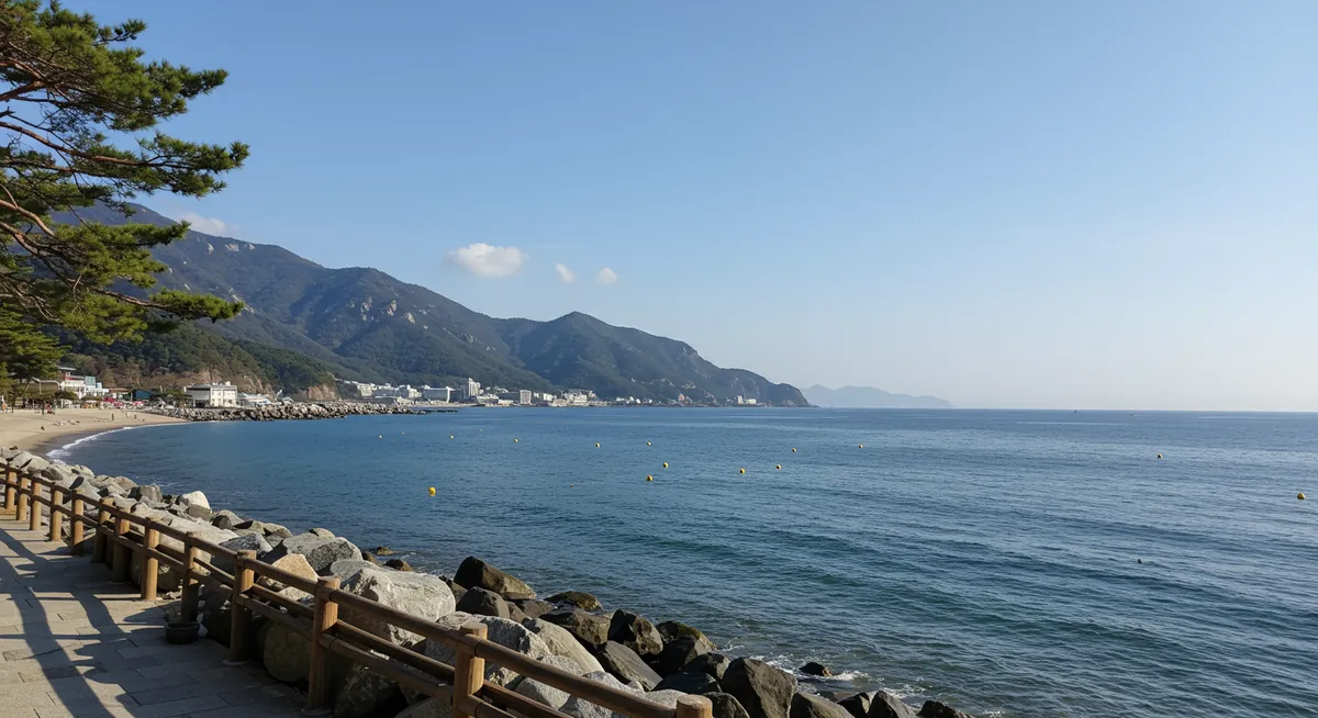 Your Essential Busan Beaches Guide