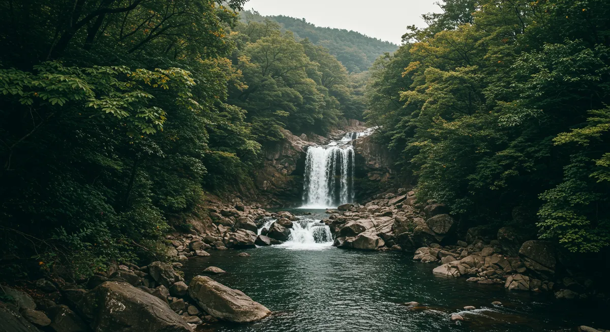Gangneung Travel Guide: Your Ultimate South Korea Coastal Journey
