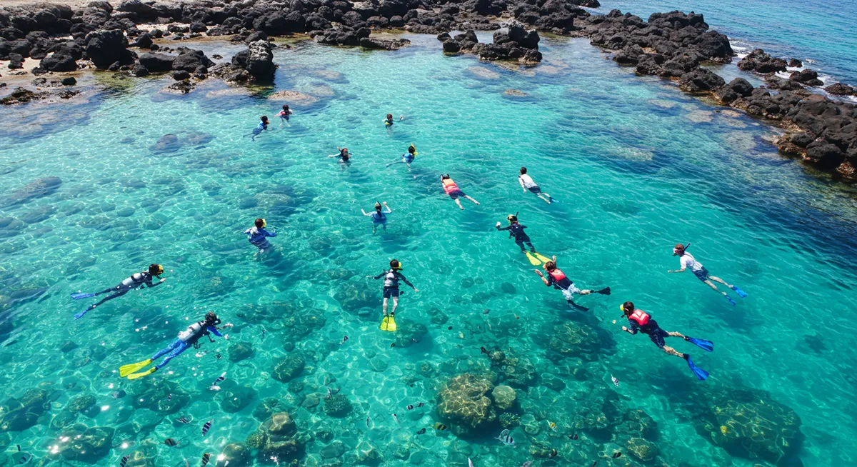 Seogwipo Diving &amp; Snorkeling Tours: Your Ultimate Guide